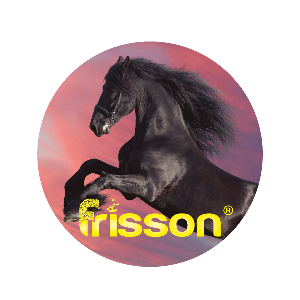 LOGO-FRISSON-COLOMBIA